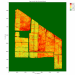 Sugarcane Lodging & Weed Detection using ML and Computer Vision