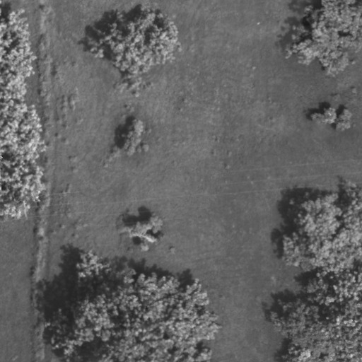 WhatsApp Image 2025-09-04 at 10.42.45