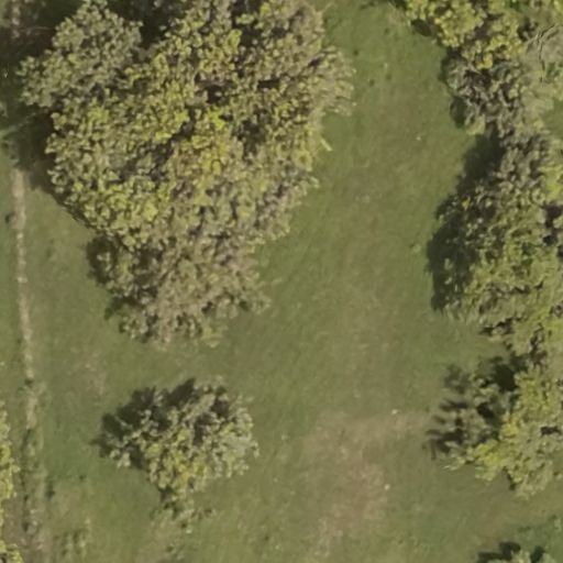 WhatsApp Image 2025-09-04 at 10.42.59