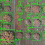 GAN-based Mango Variety & Disease Detection