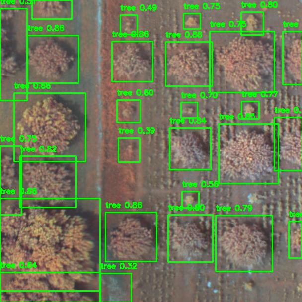 WhatsApp Image 2025-09-04 at 10.43.25