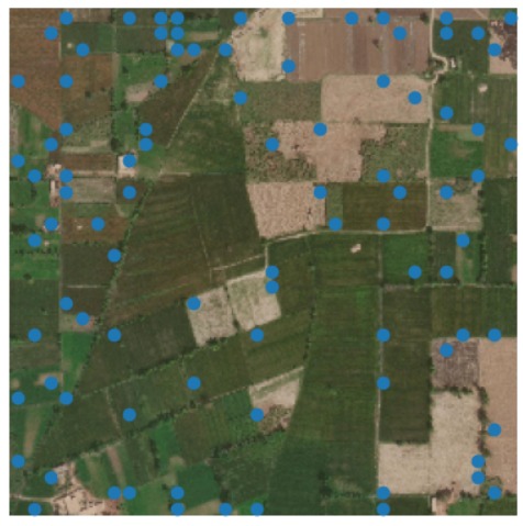 WhatsApp Image 2025-09-04 at 10.46.44 (1)