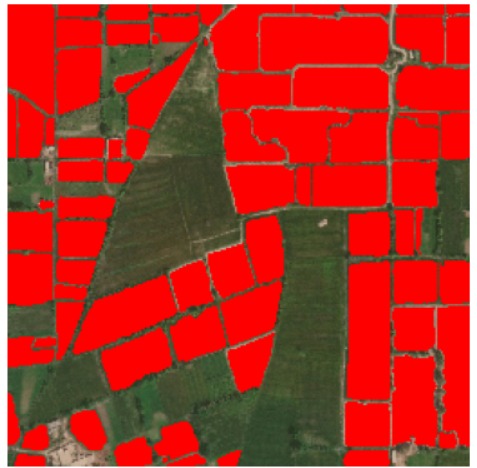 WhatsApp Image 2025-09-04 at 10.46.44