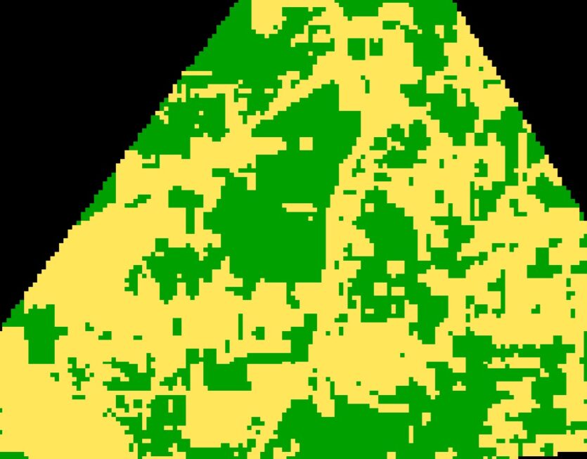 WhatsApp Image 2025-09-04 at 10.46.45